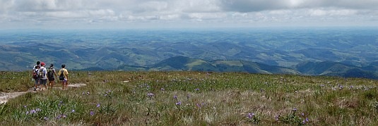 picodalombada
